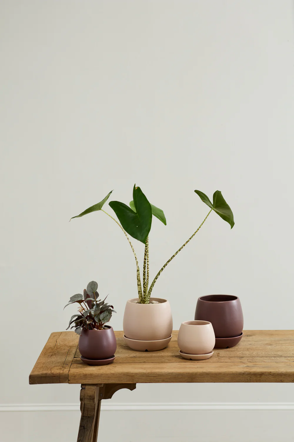 Dalton Pot Set of 4 By Accent Decor - Image 6