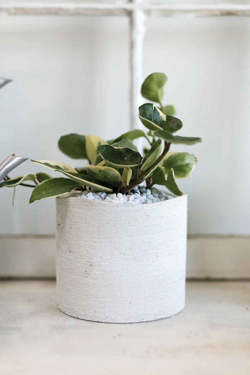 Delphi Pot Set of 8 By Accent Decor - Image 11