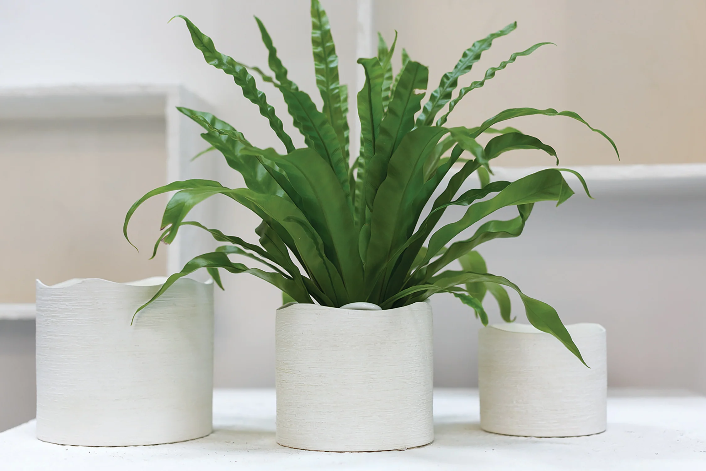 Delphi Pot Set of 8 By Accent Decor - Image 4