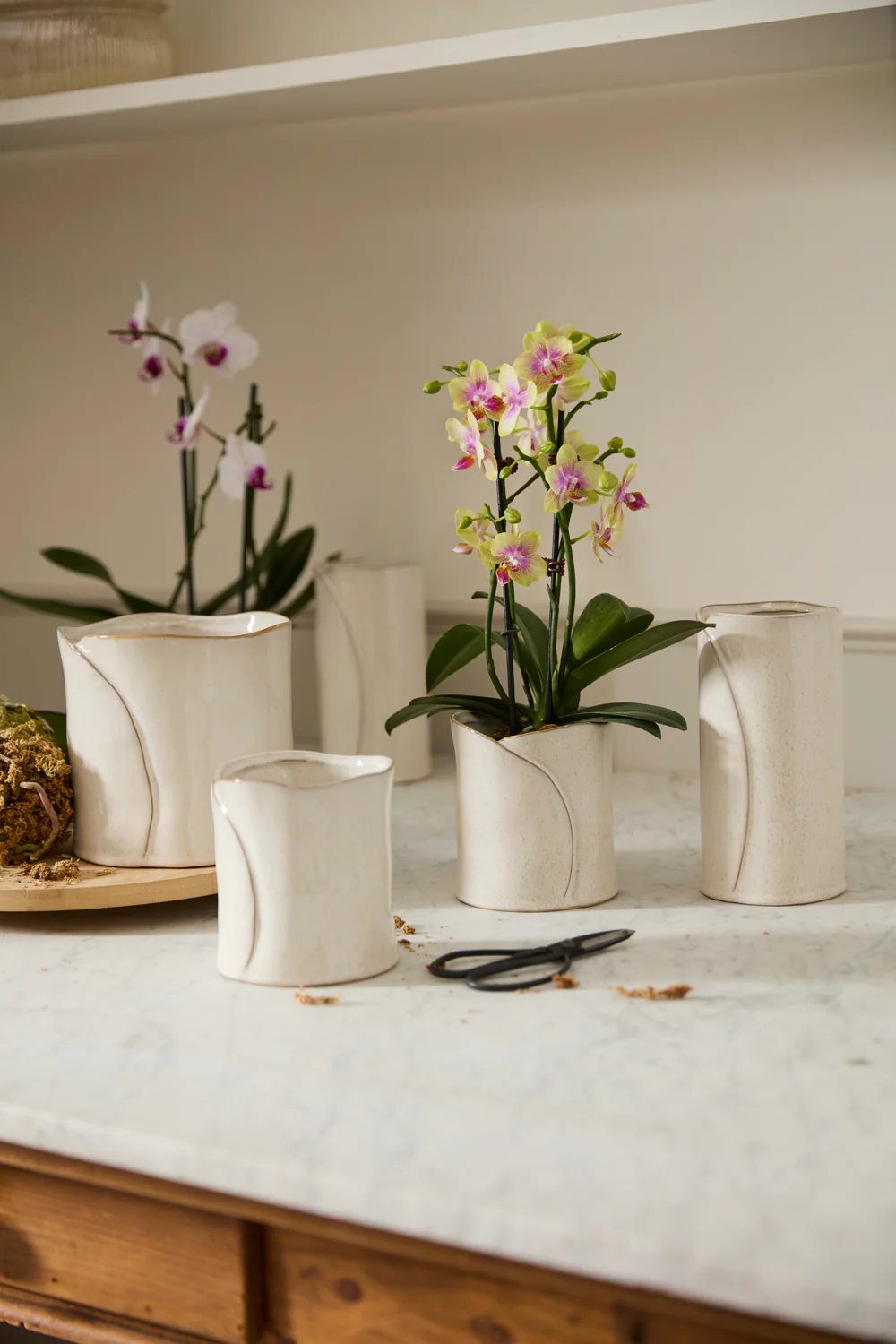 Diane Collection Set of 4 By Accent Decor - Image 3
