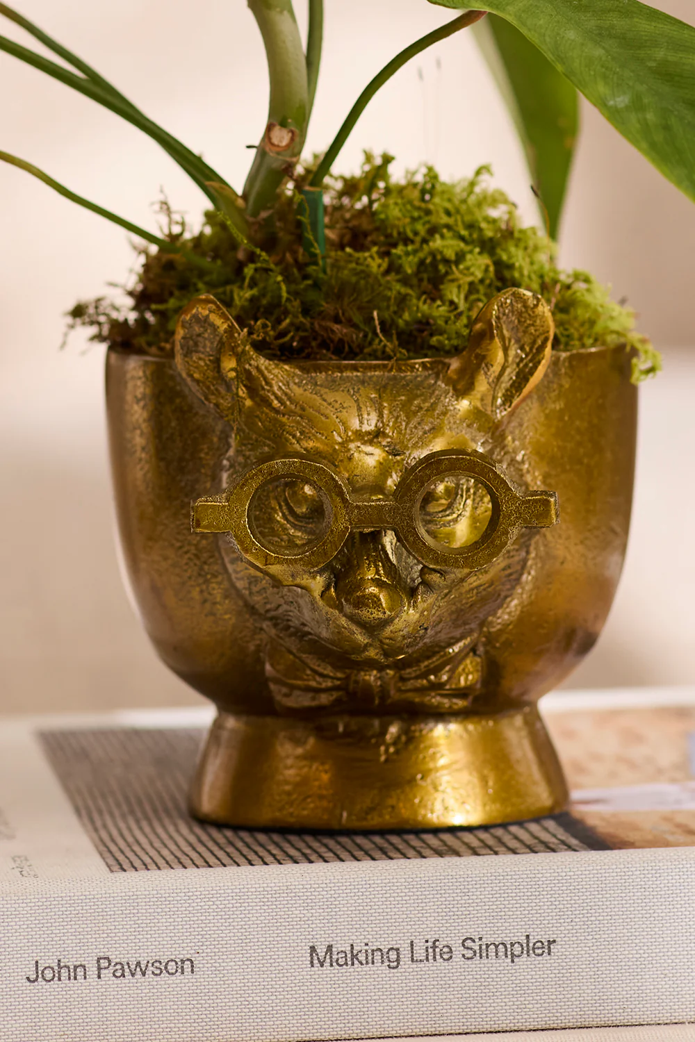 E+E Louie Pot By Accent Decor