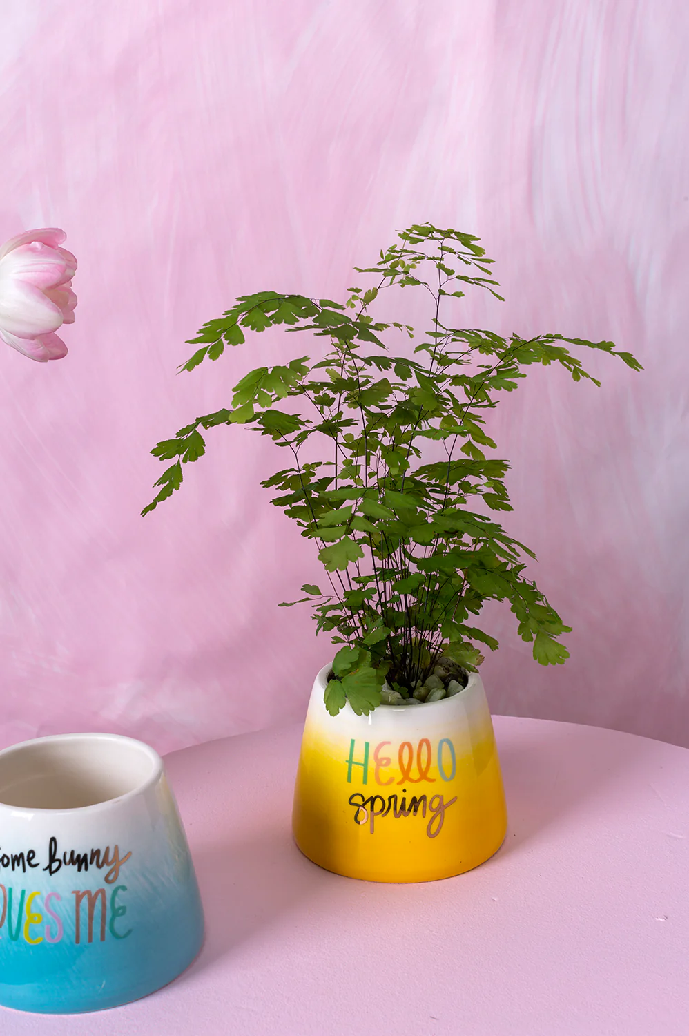 Easter Cheer Pot Set of 4 By Accent Decor - Image 9