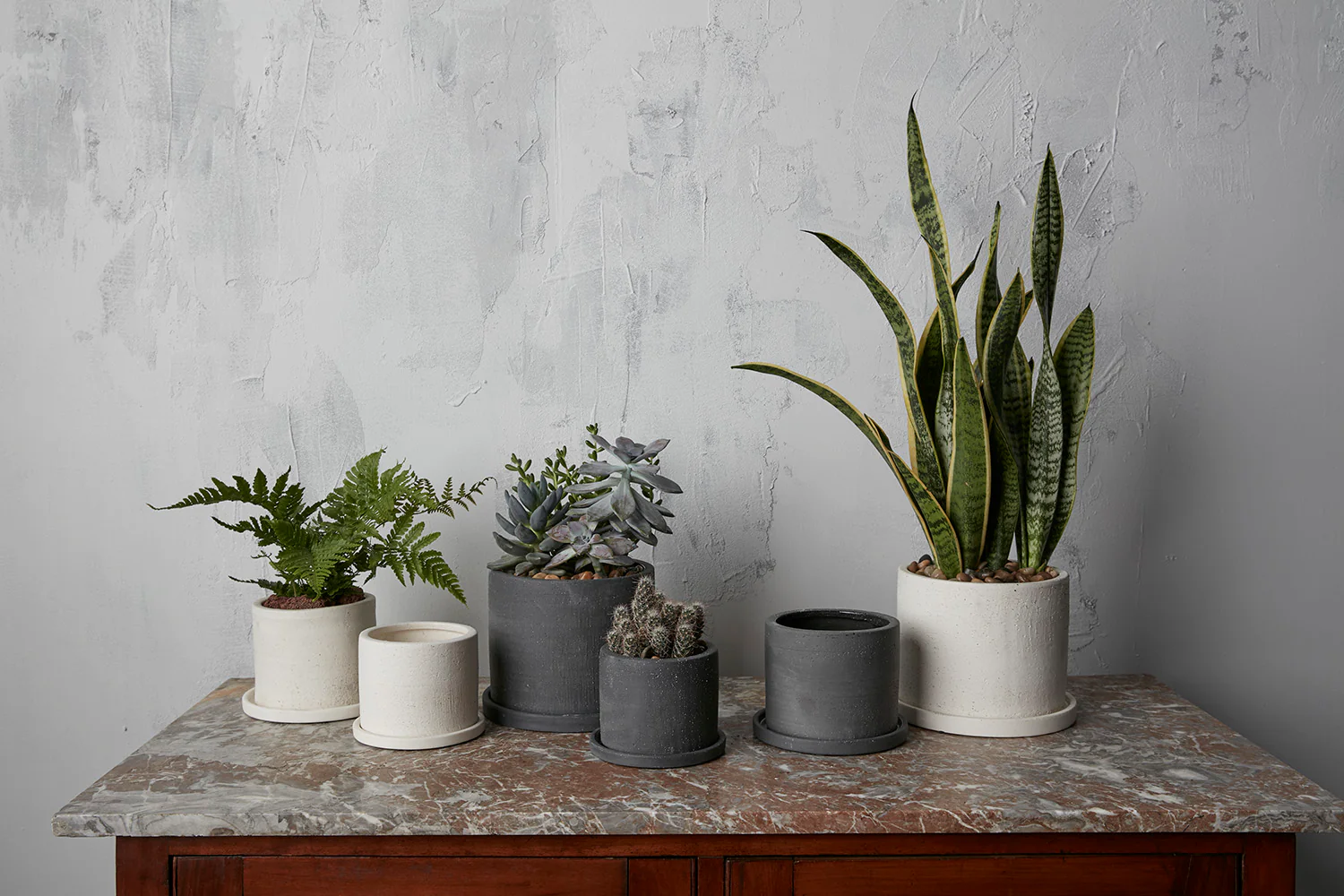 Easton Pot Set of 8 By Accent Decor - Image 4