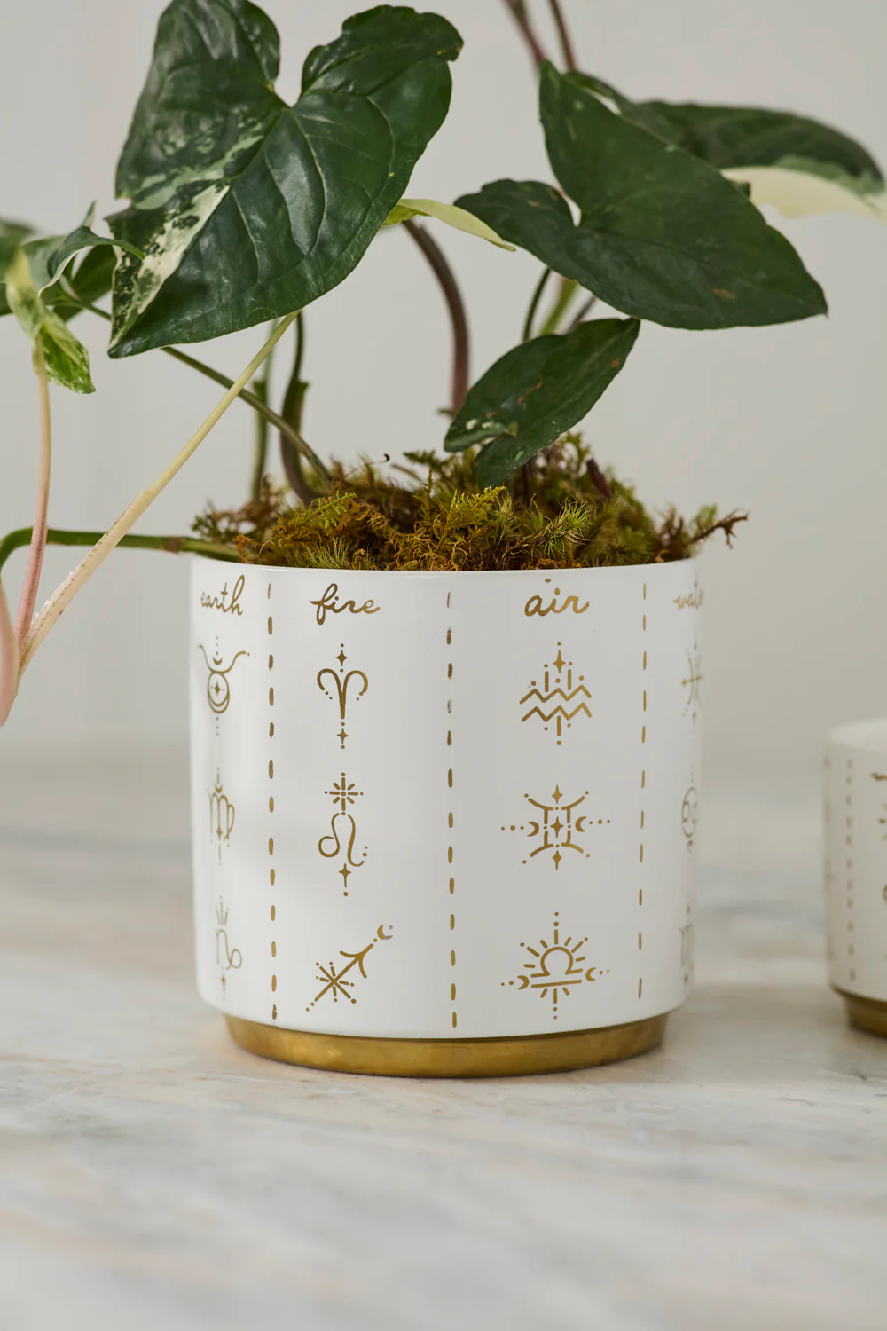 Elemental Pot Set of 8 By Accent Decor