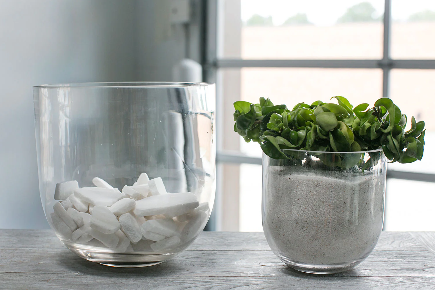 Fat Bowl Vase Set of 4 By Accent Decor - Image 9