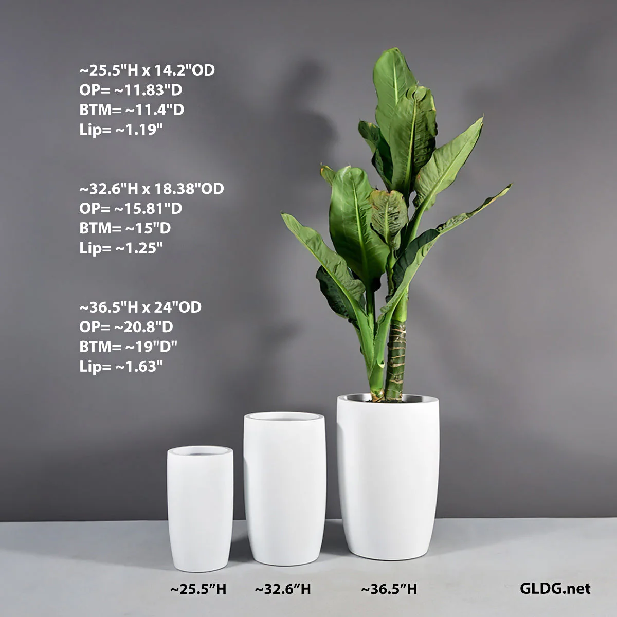 Fiberglass: Barrel 25.5"H Planter, White By Gold Leaf - Image 7
