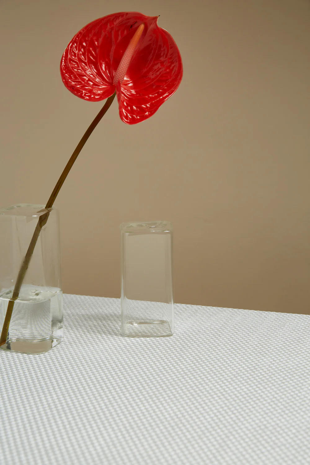 Flora Vase Set of 8 By Accent Decor - Image 12