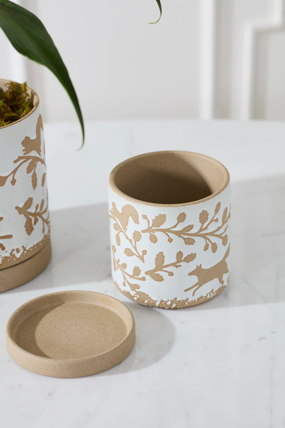 Foxtail Pot with Saucer Set of 4 By Accent Decor - Image 3