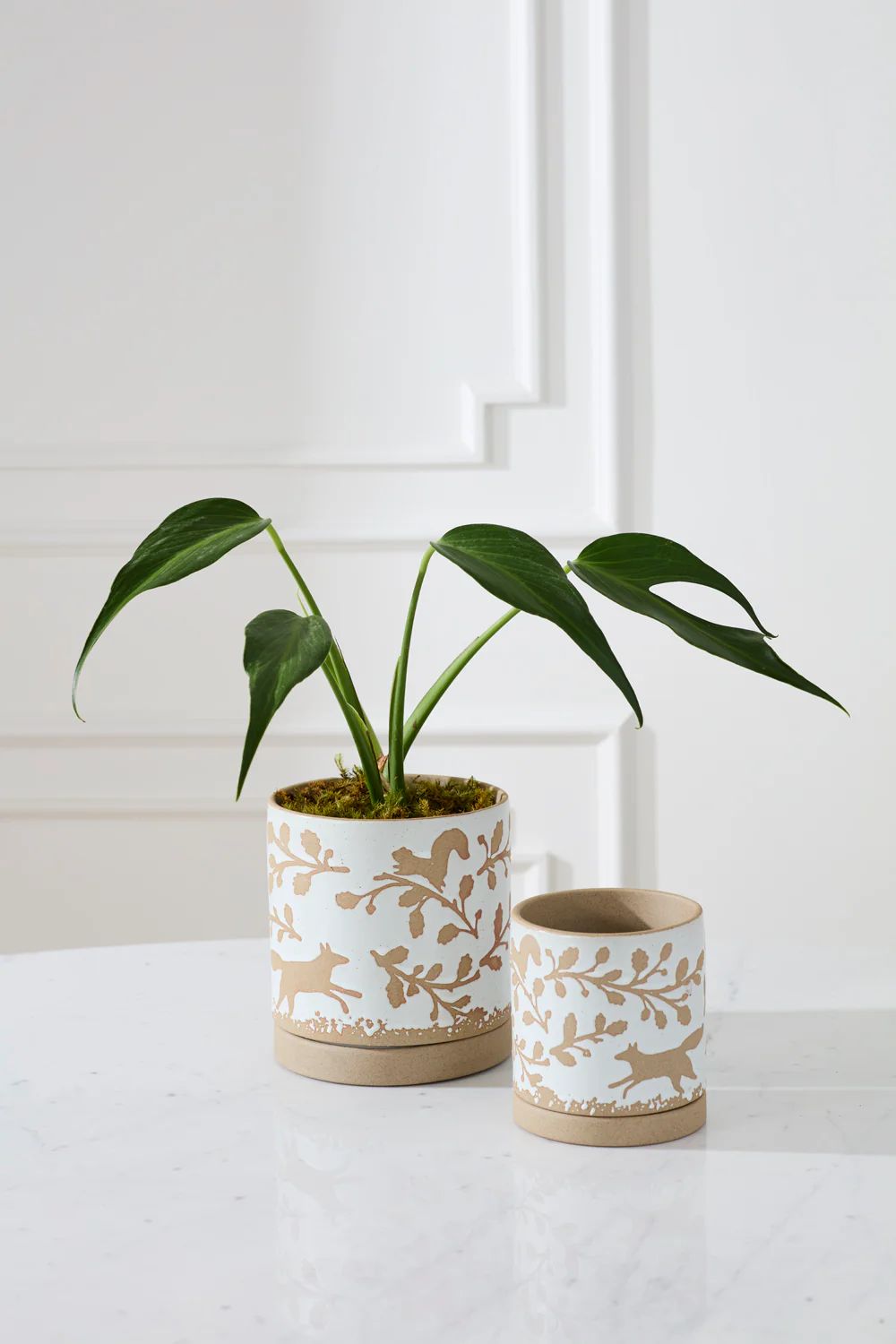 Foxtail Pot with Saucer Set of 4 By Accent Decor - Image 5