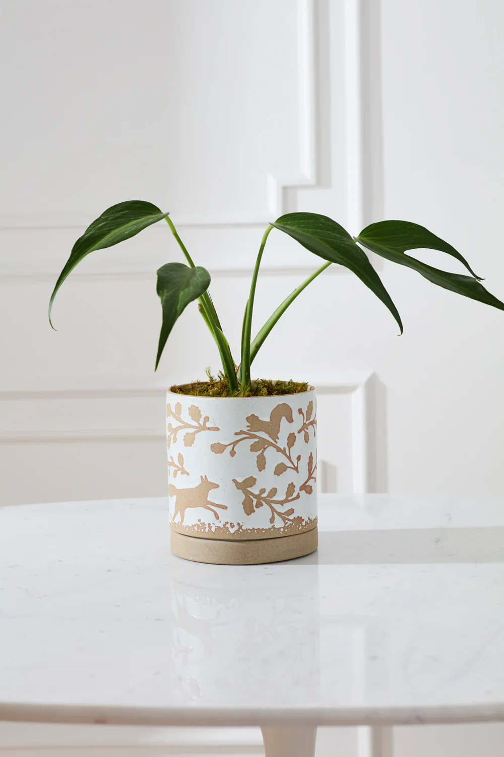 Foxtail Pot with Saucer Set of 4 By Accent Decor - Image 8