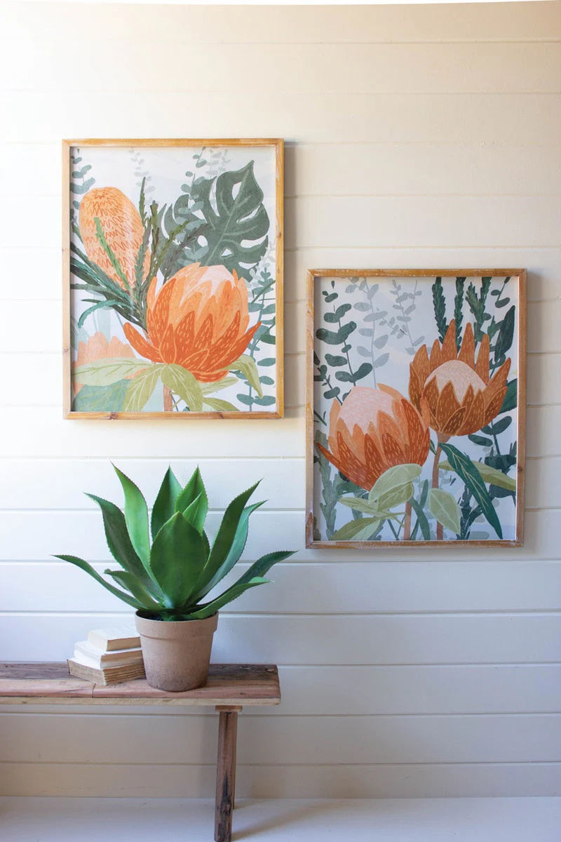 Framed Prints Under Glass - Protea Set Of 2 By Kalalou