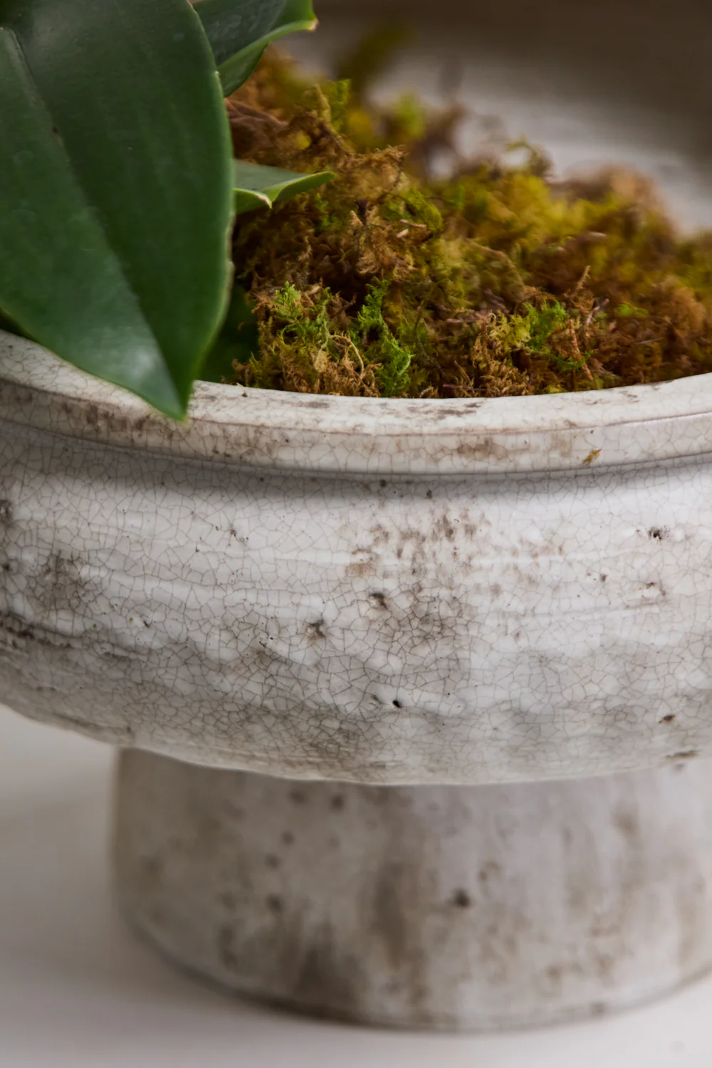 Garance Footed Bowl By Accent Decor