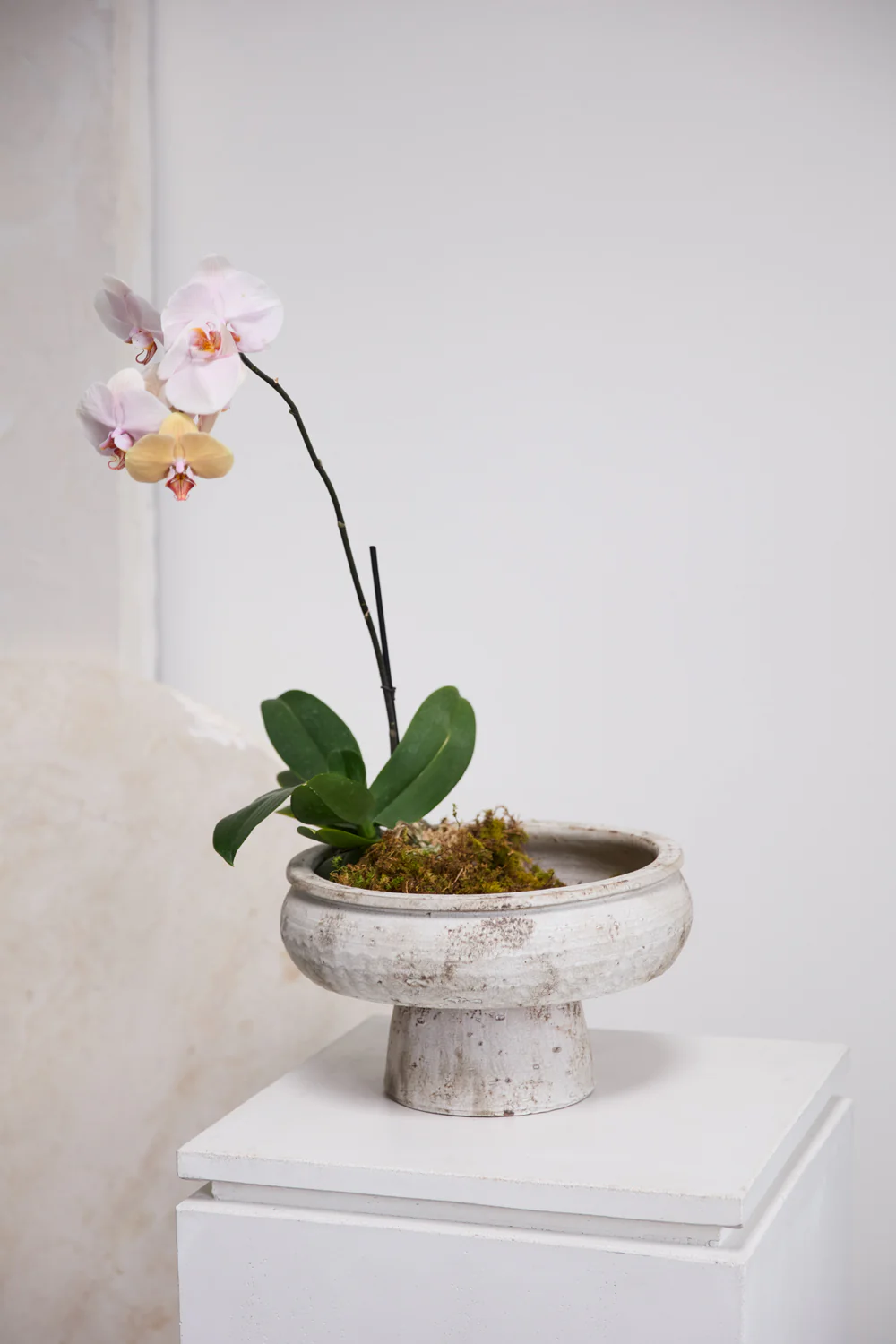 Garance Footed Bowl By Accent Decor - Image 3