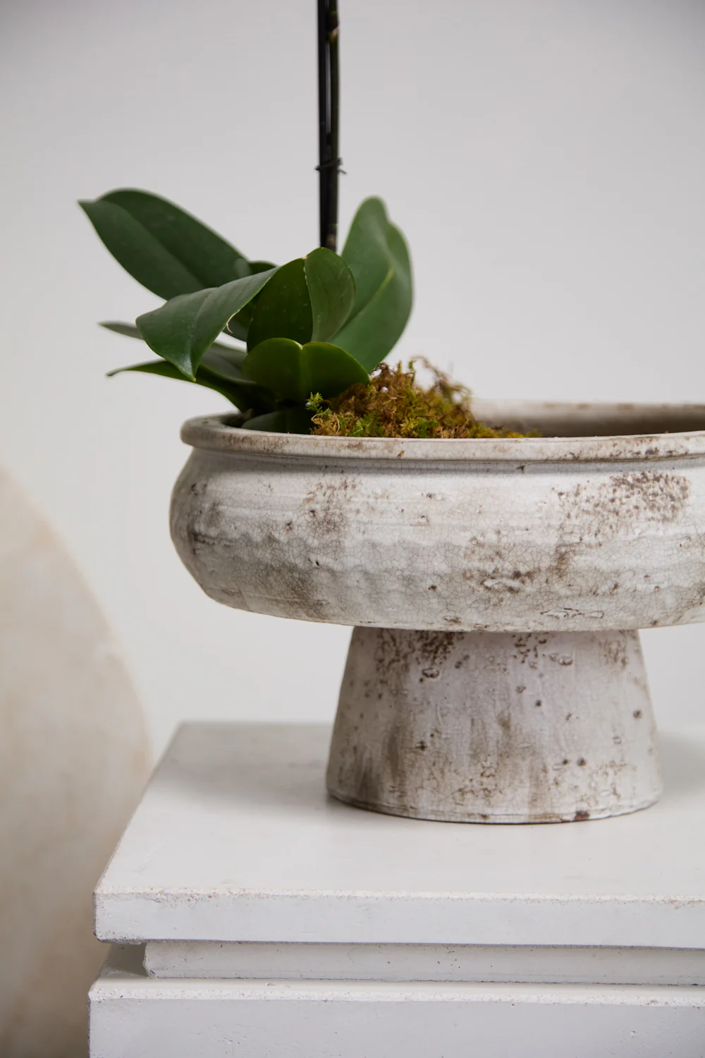 Garance Footed Bowl By Accent Decor - Image 4