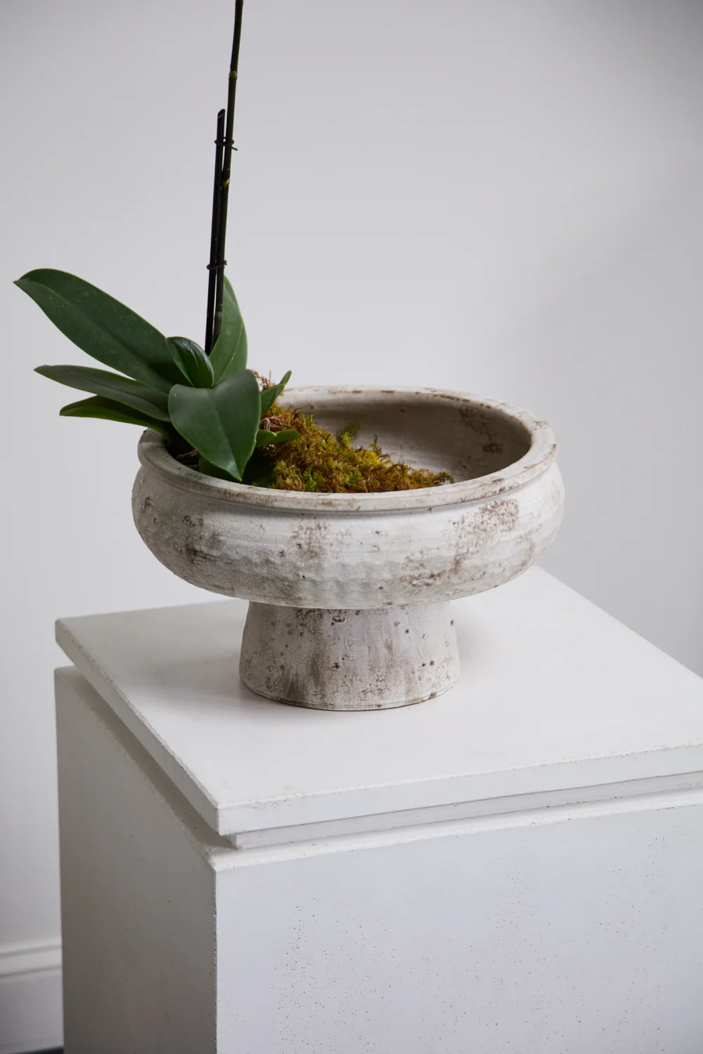 Garance Footed Bowl By Accent Decor - Image 6