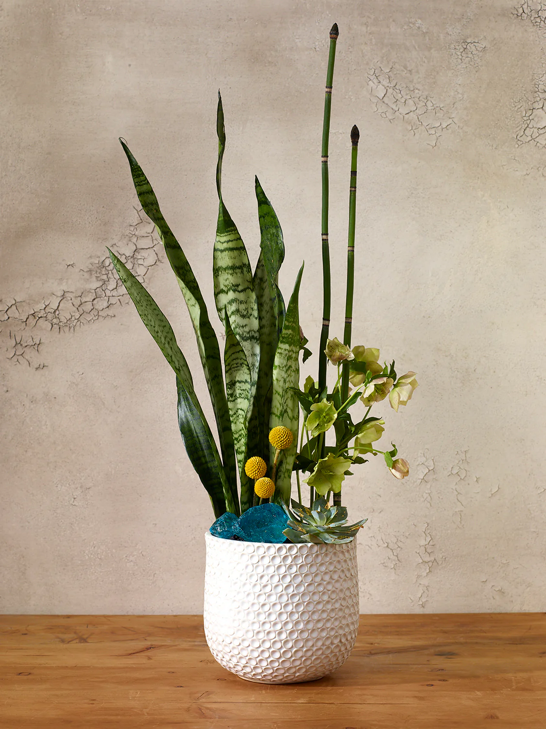 Ginny Pot Set of 8 By Accent Decor - Image 13