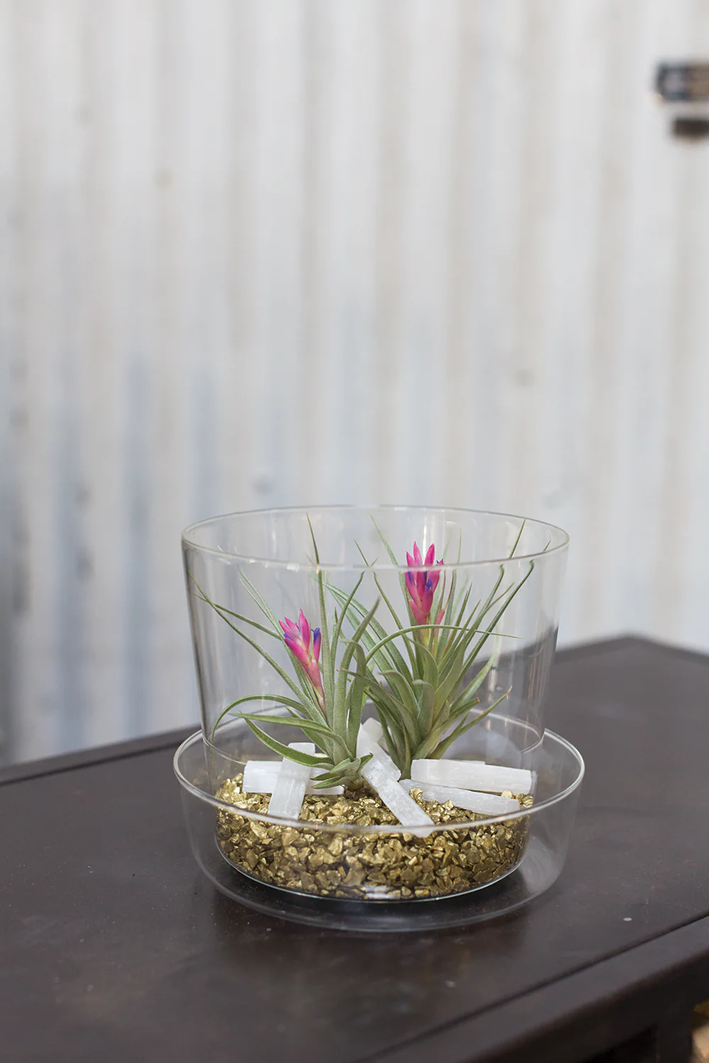 Glass Pot with Saucer Set of 4 By Accent Decor - Image 12