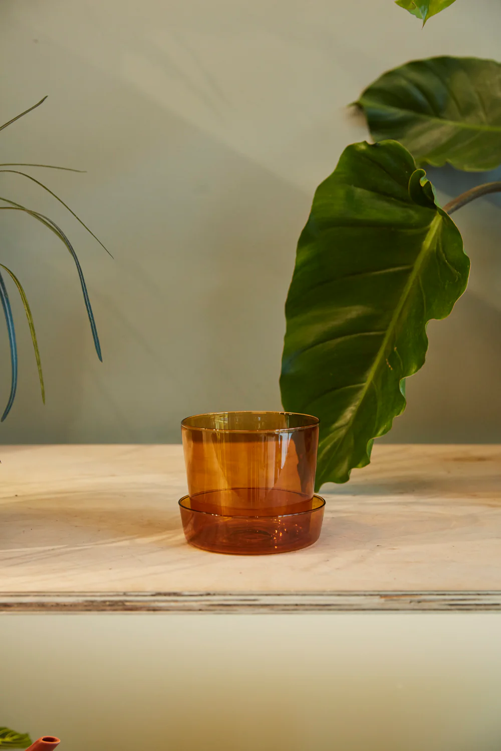 Glass Pot with Saucer Set of 4 By Accent Decor - Image 7