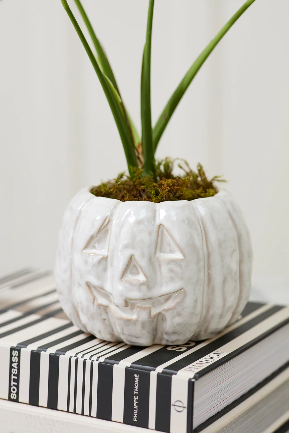 Glazed Pumpkin Pot Set of 2 By Accent Decor