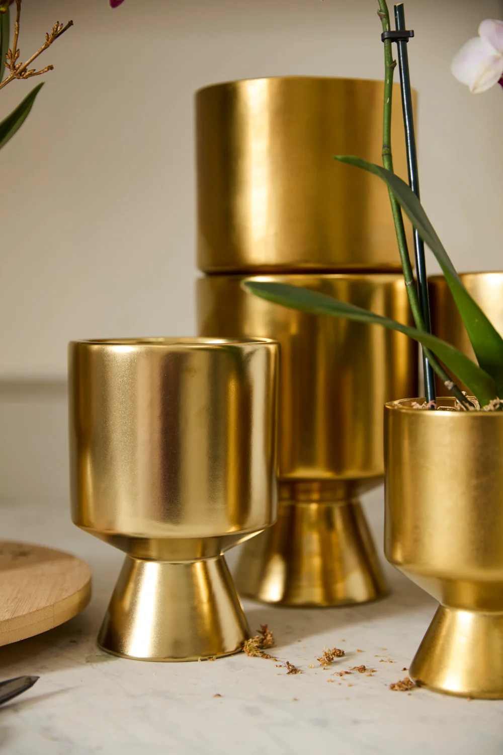 Gold De Vil Pot Set of 4 By Accent Decor