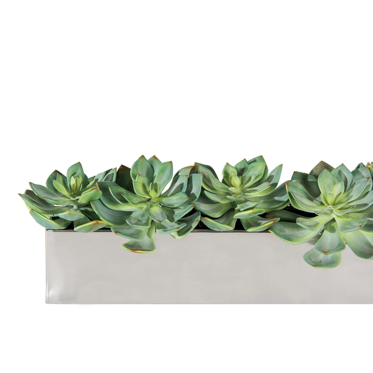 Grapto in Stainless Table Planter By Gold Leaf