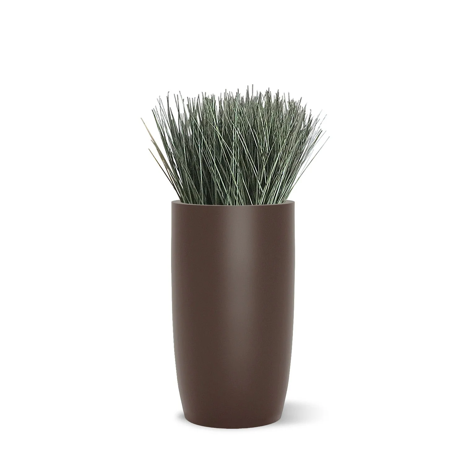 Grass: Cortada Grass in Barrel Planter SM, Brown DK Satin By Gold Leaf