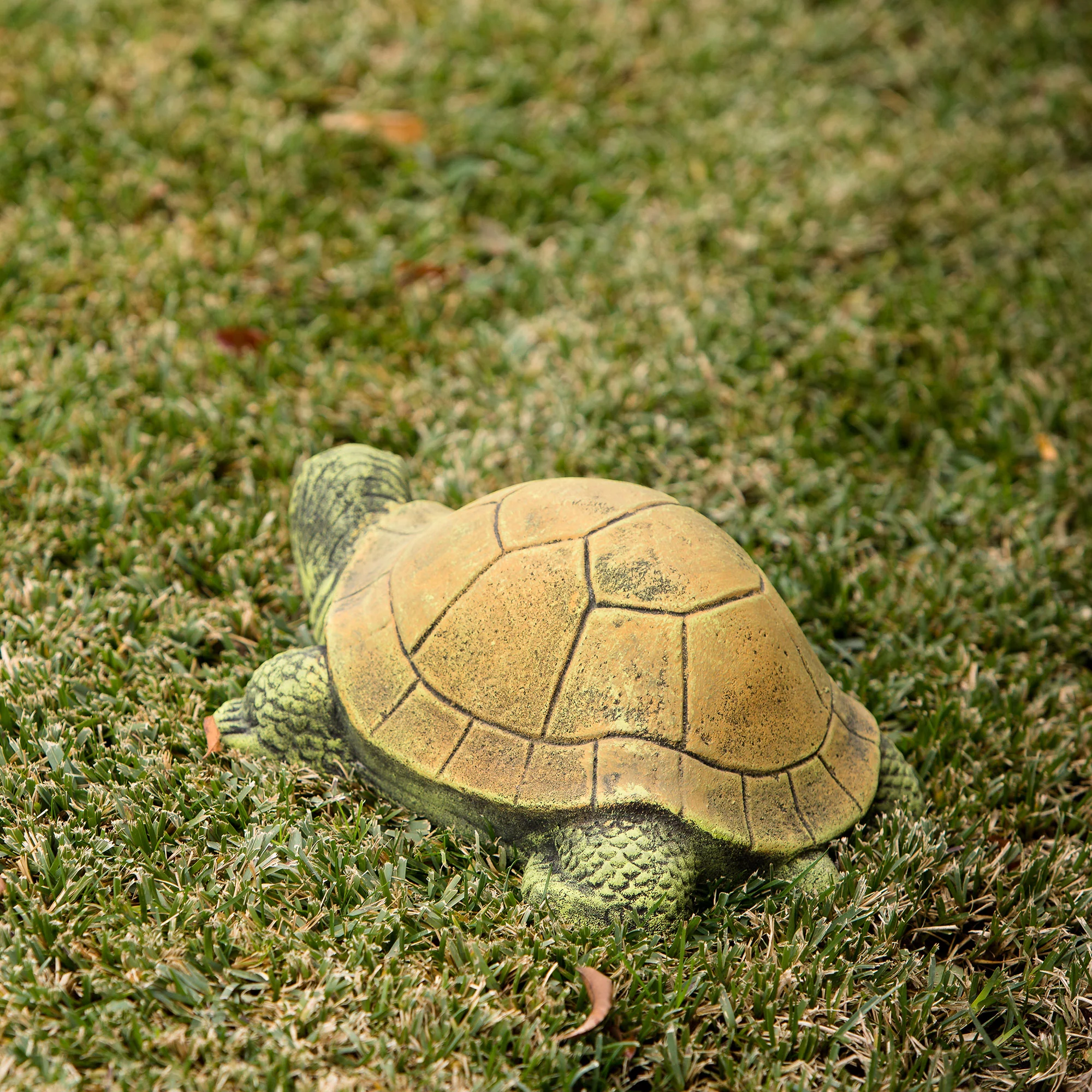 Green Turtle Set of 2 By Garden Age Supply - Image 4
