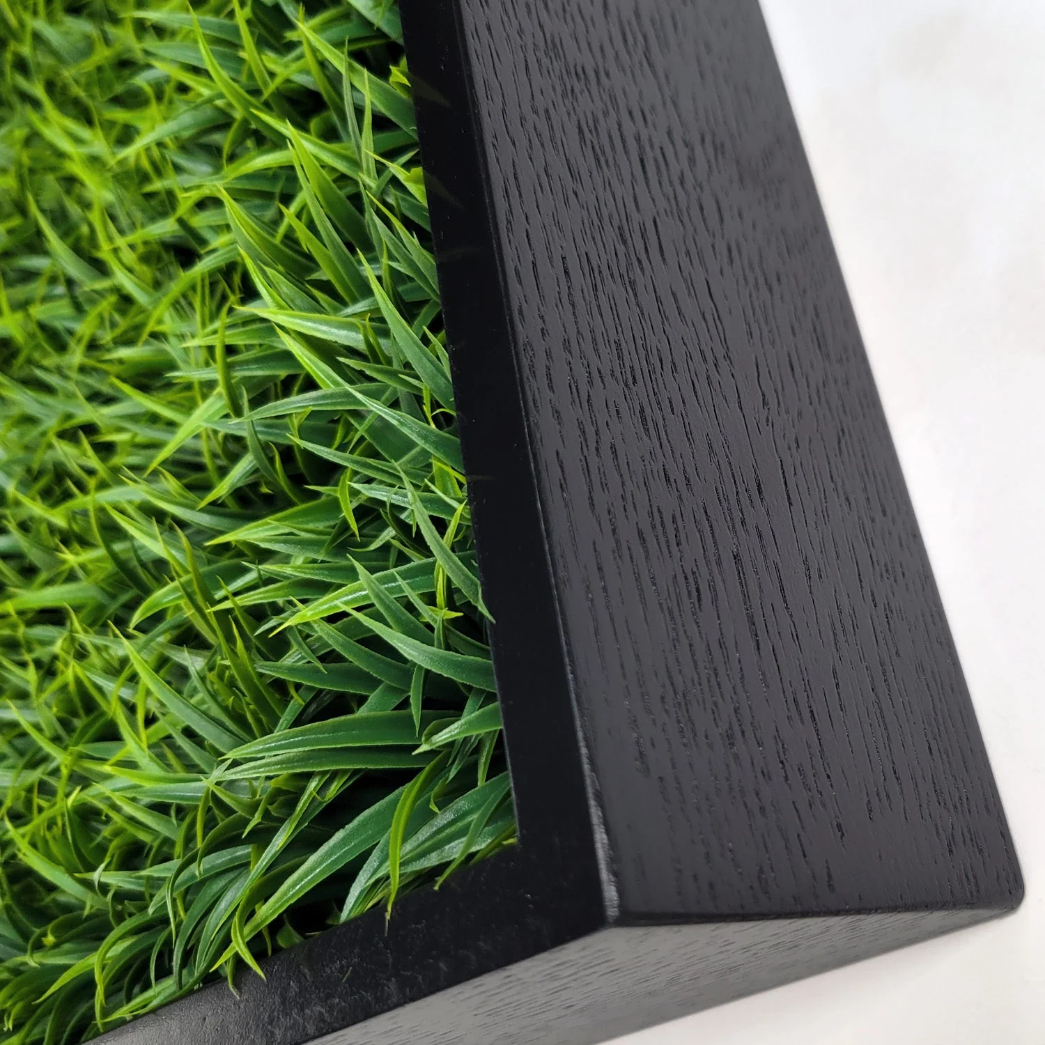 Green Wall, Mini Curly Grass 1 By Gold Leaf - Image 2
