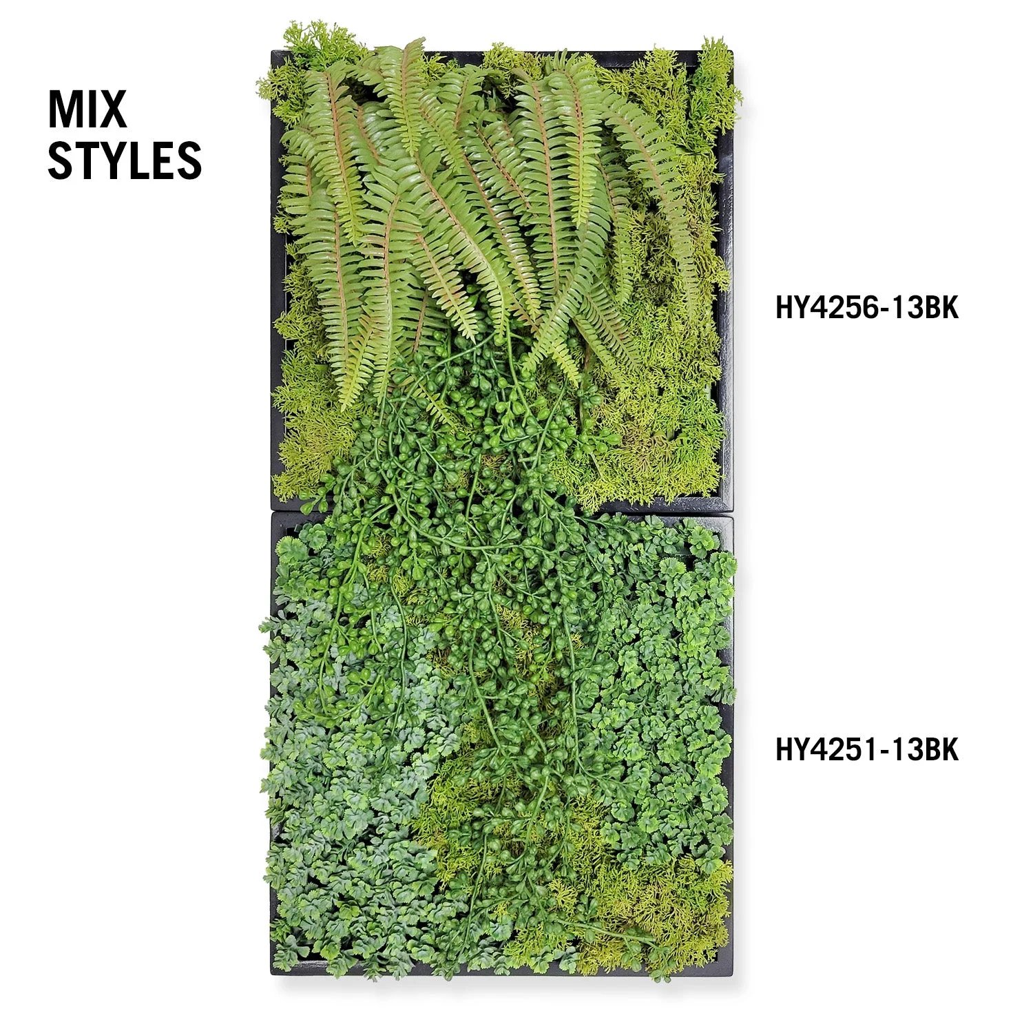 Green Wall, Mini Fern & Sedum Pearls 1 By Gold Leaf - Image 8