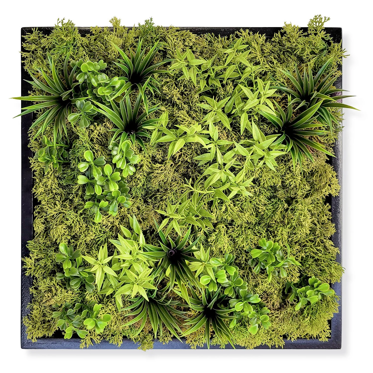 Green Wall, Mini Flat Texture Mix 3 By Gold Leaf