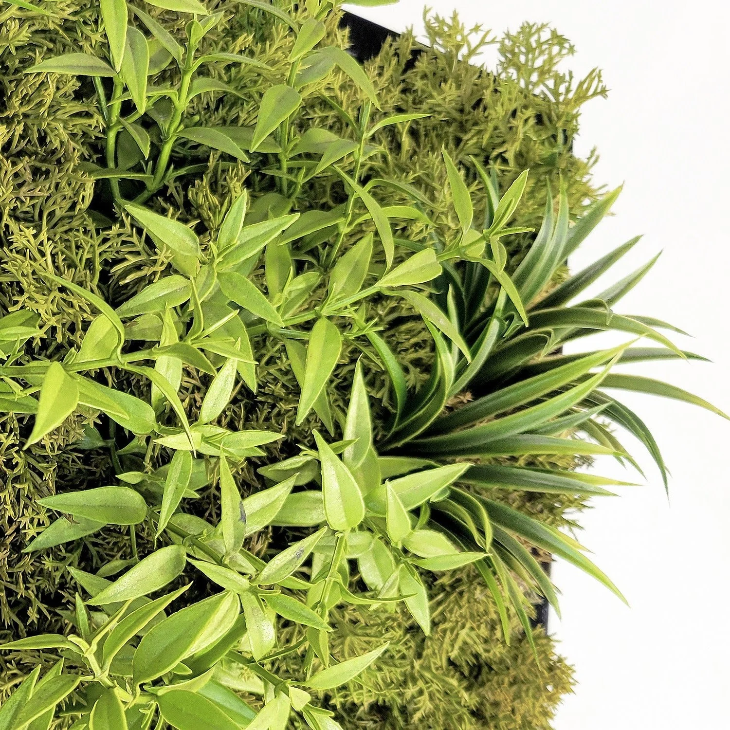 Green Wall, Mini Flat Texture Mix 3 By Gold Leaf - Image 3