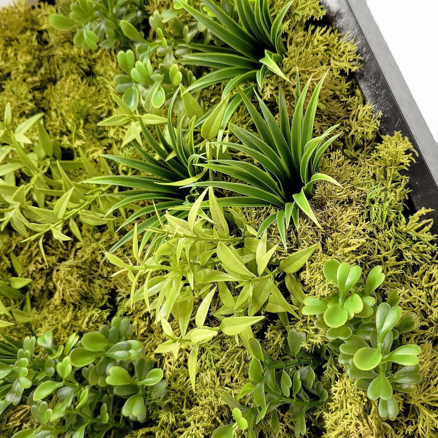 Green Wall, Mini Flat Texture Mix 3 By Gold Leaf - Image 4