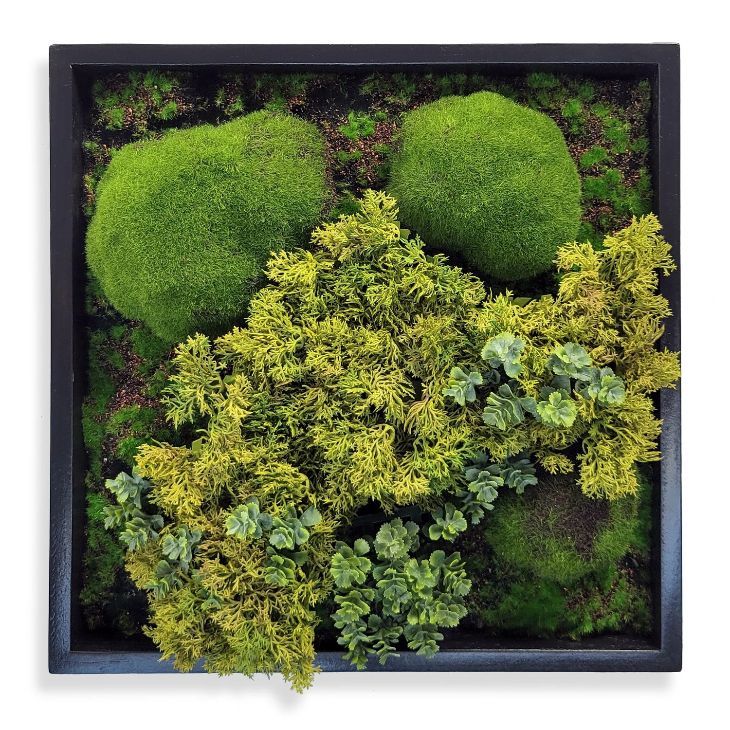 Green Wall, Mini Texture Mix 5 By Gold Leaf