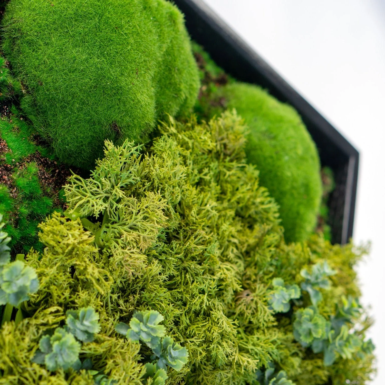 Green Wall, Mini Texture Mix 5 By Gold Leaf - Image 3