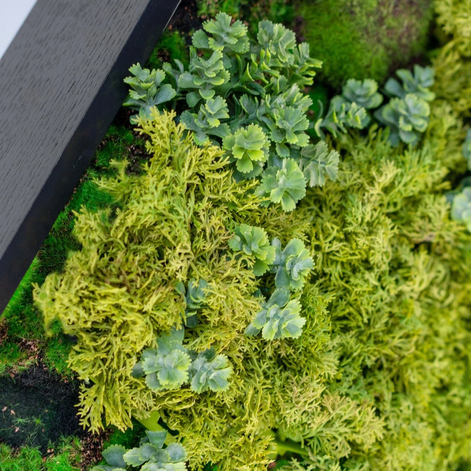 Green Wall, Mini Texture Mix 5 By Gold Leaf - Image 4