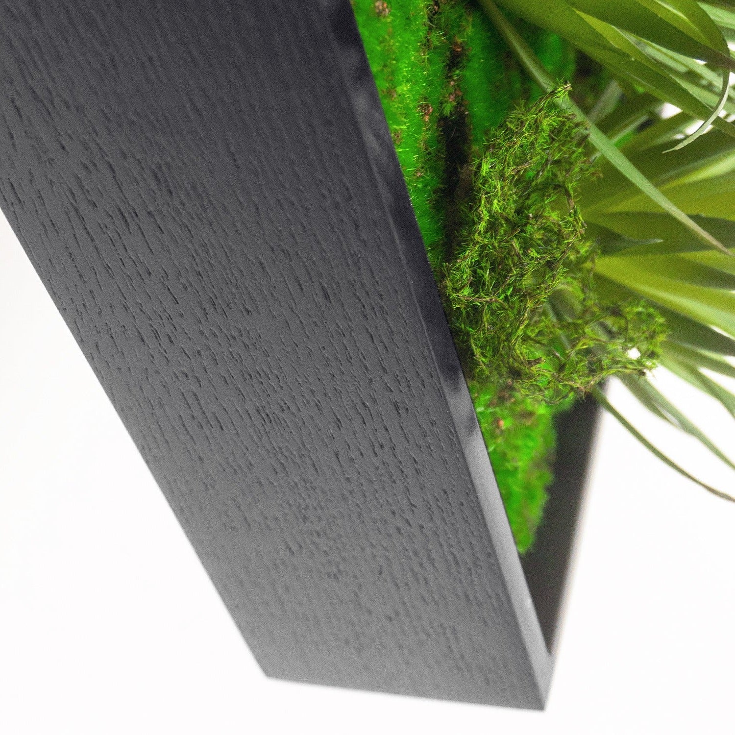 Green Wall, Mini w/ Grapto Mix 1 By Gold Leaf - Image 4