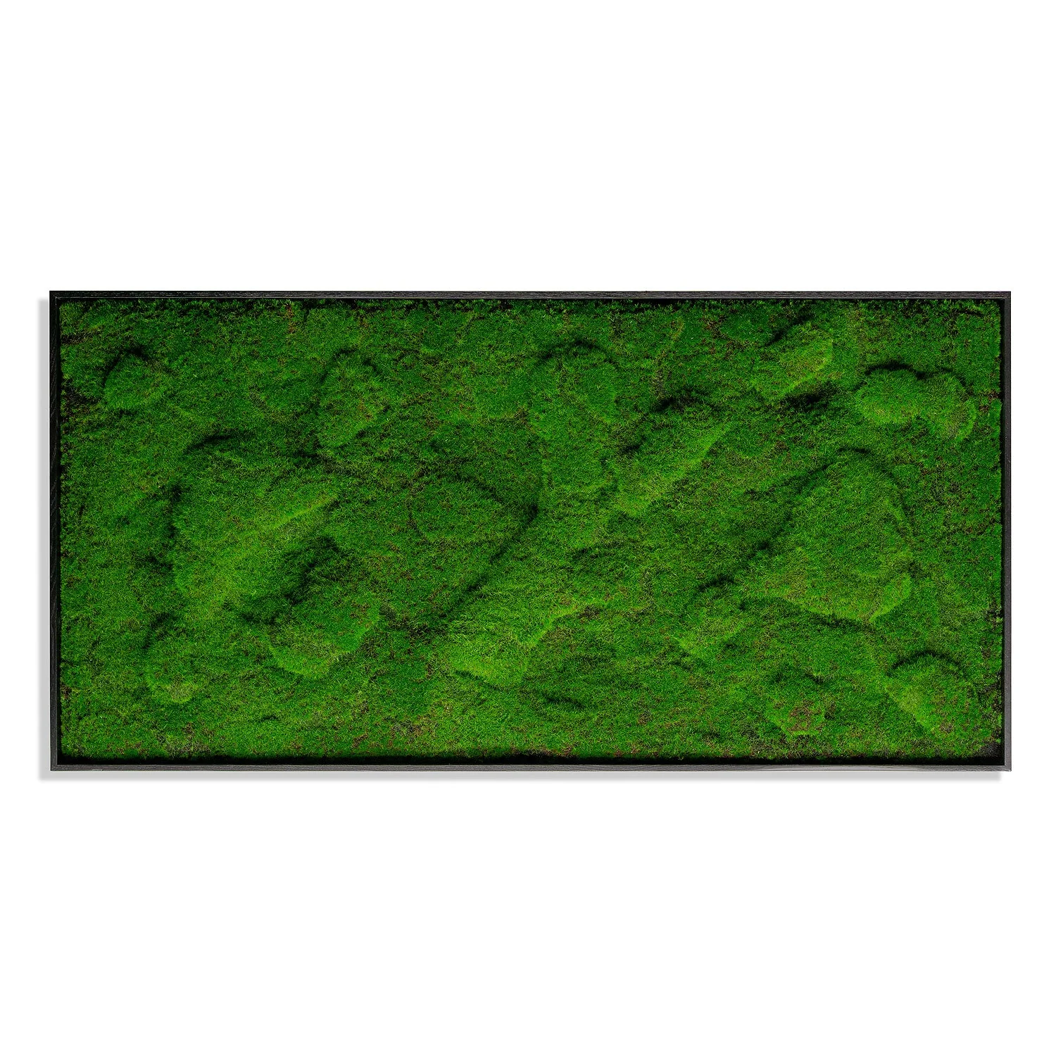 Green Wall, ‘New Moss Rectangle', 50”L By Gold Leaf