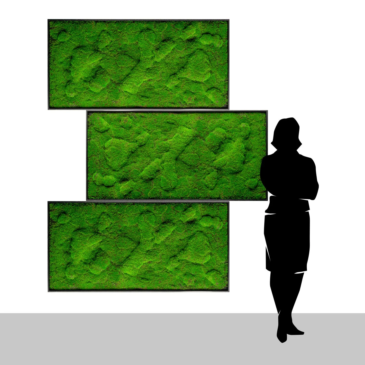 Green Wall, ‘New Moss Rectangle', 50”L By Gold Leaf - Image 5