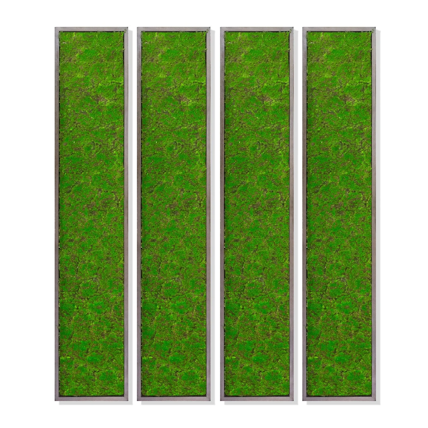 Green Wall, ‘New Moss Rectangle’, 62.5"L By Gold Leaf - Image 5