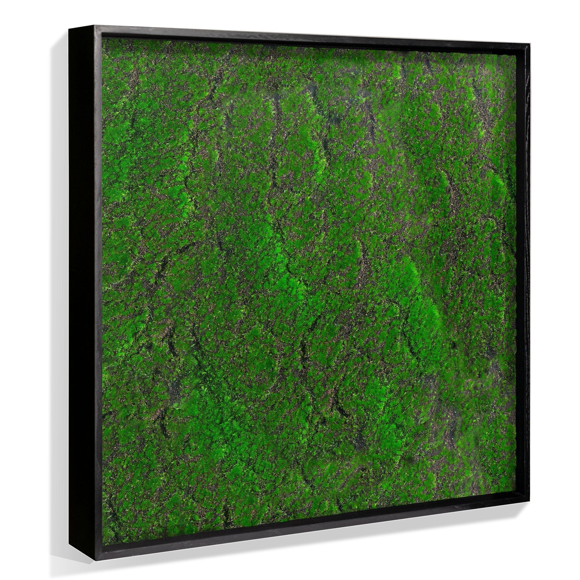 Green Wall, ‘New Moss Square’ By Gold Leaf - Image 2
