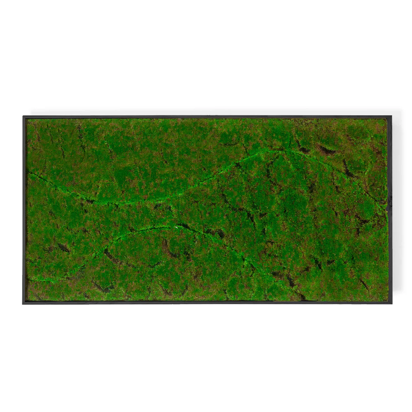 Green Wall, ‘New Wave B', Satin Black Hardwood By Gold Leaf - Image 4