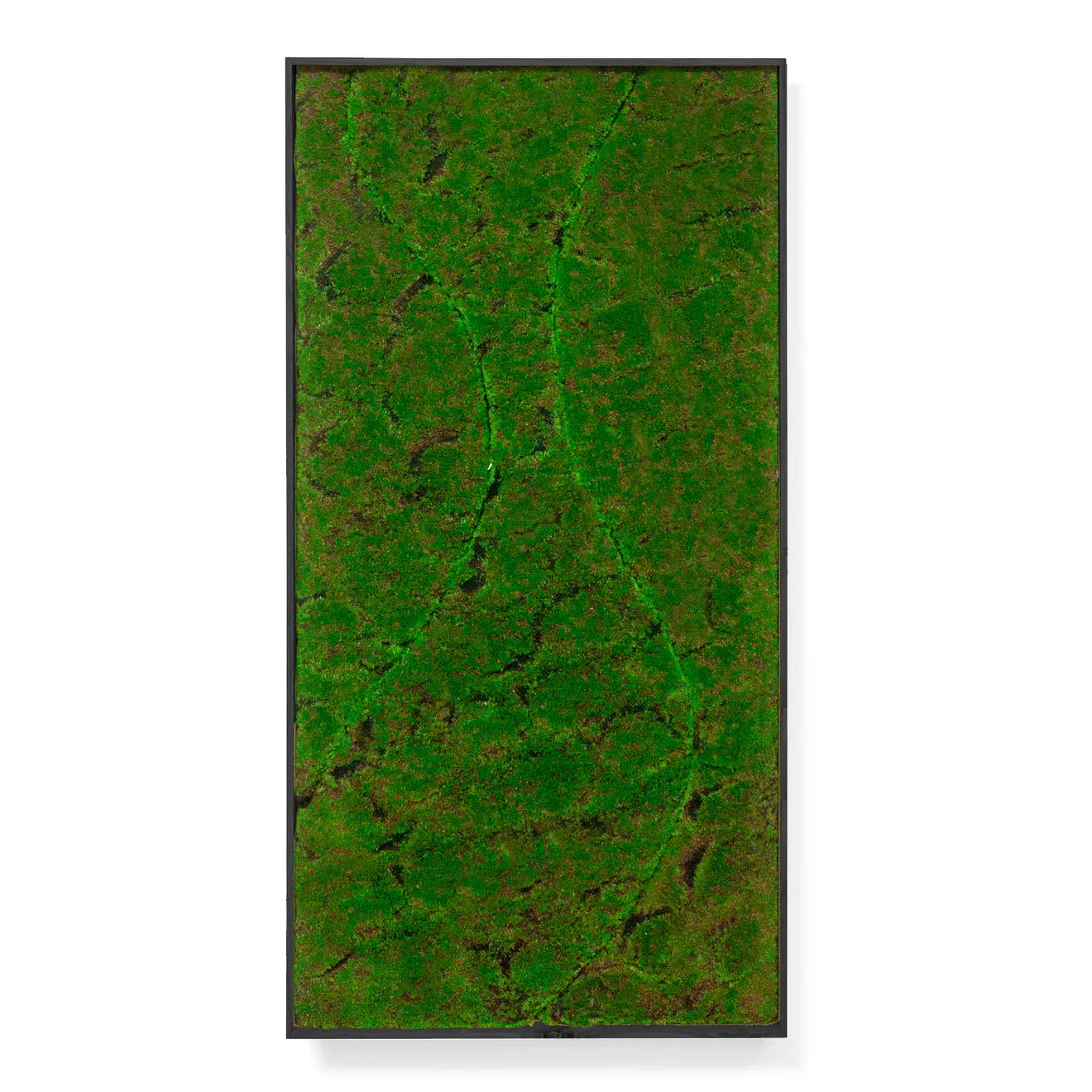 Green Wall, ‘New Wave B', Satin Black Hardwood By Gold Leaf - Image 5