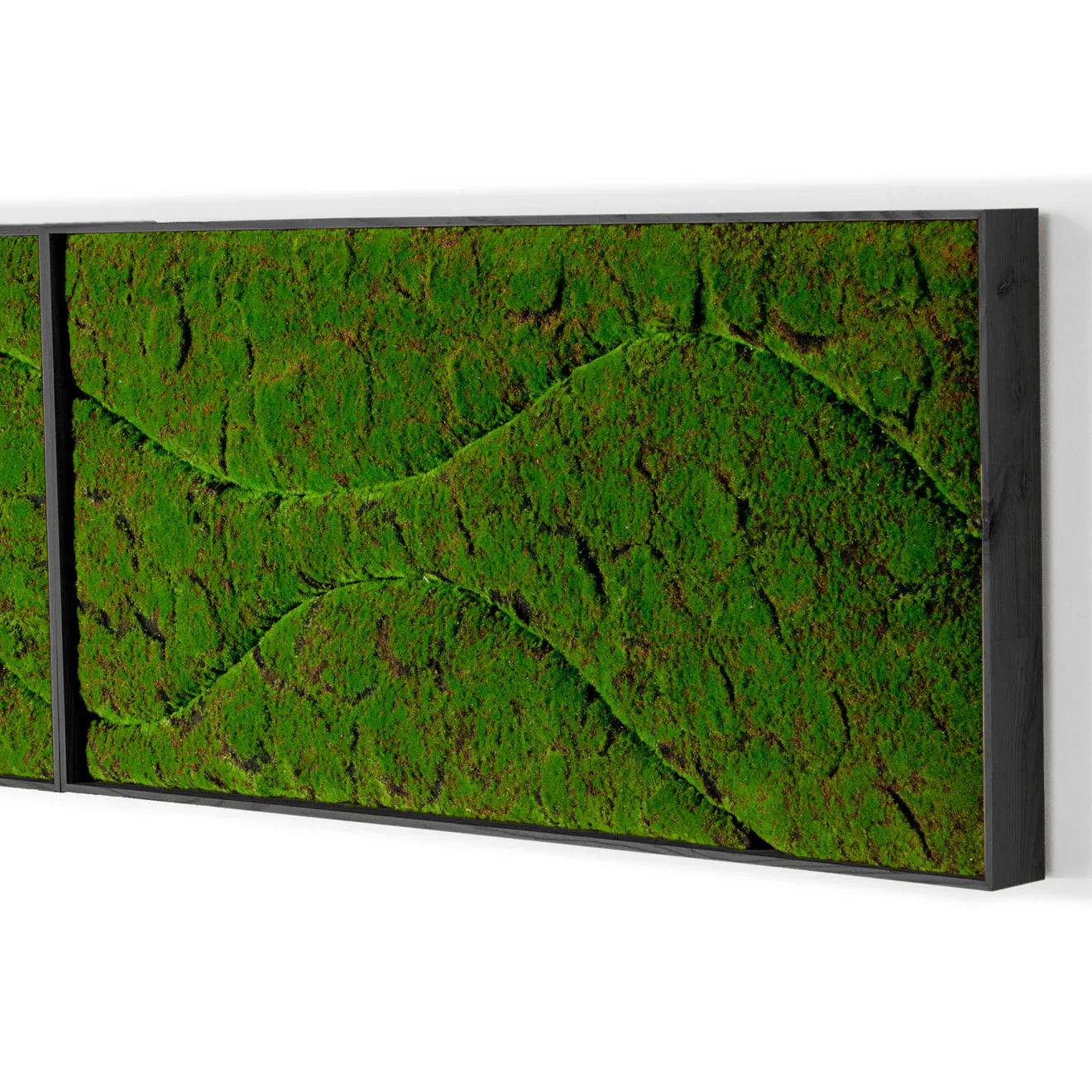 Green Wall, ‘New Wave B', Satin Black Hardwood By Gold Leaf - Image 6