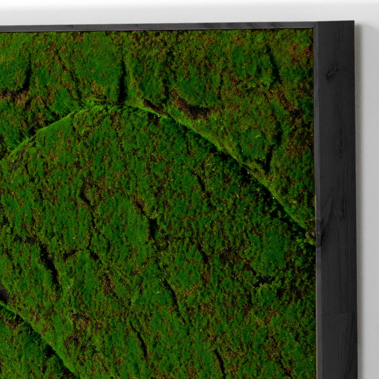 Green Wall, ‘New Wave B', Satin Black Hardwood By Gold Leaf - Image 7
