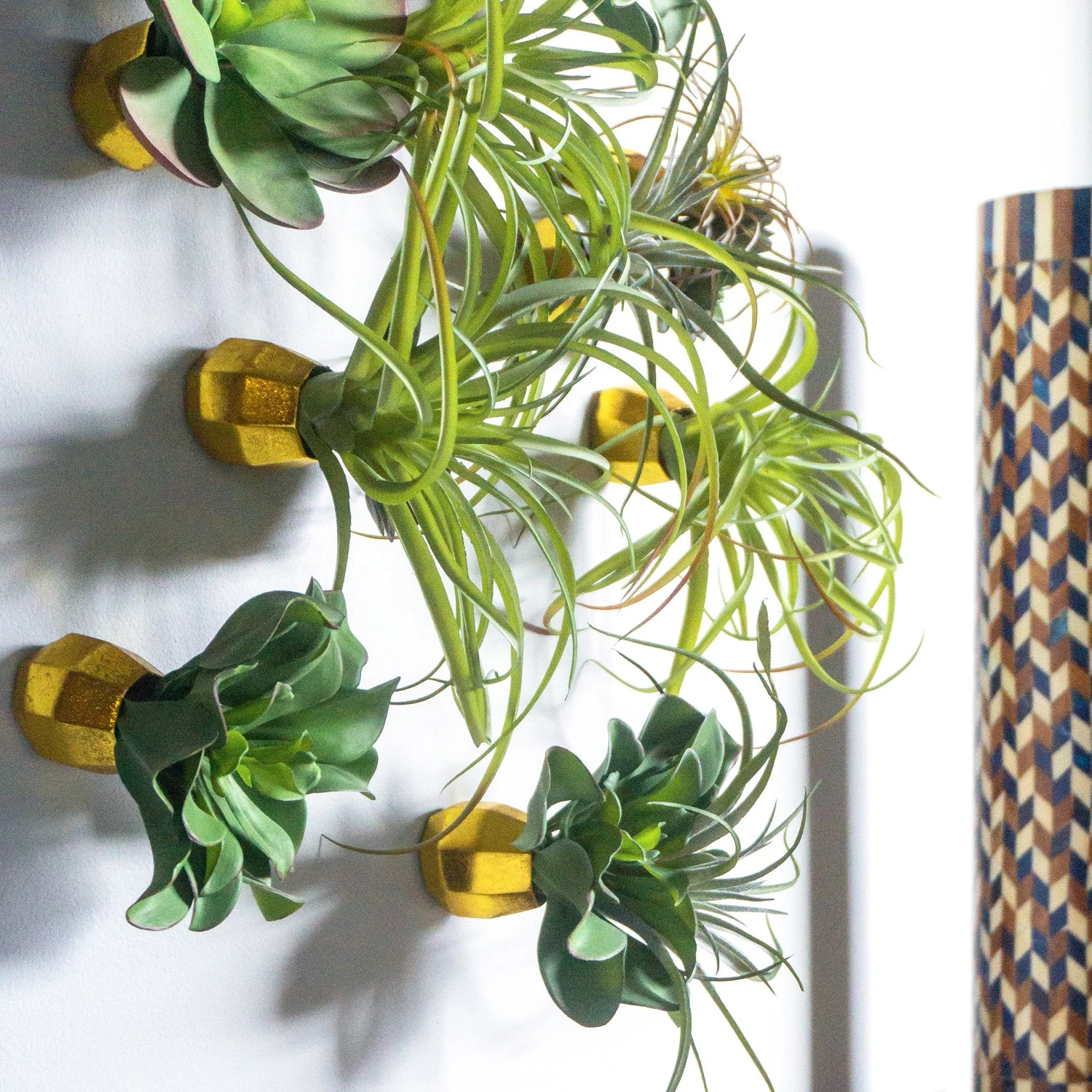Green Wall Satellite, Wall Play™ Barnacle w/ Succulents & Air Plants, Set of 10 By Gold Leaf - Image 5