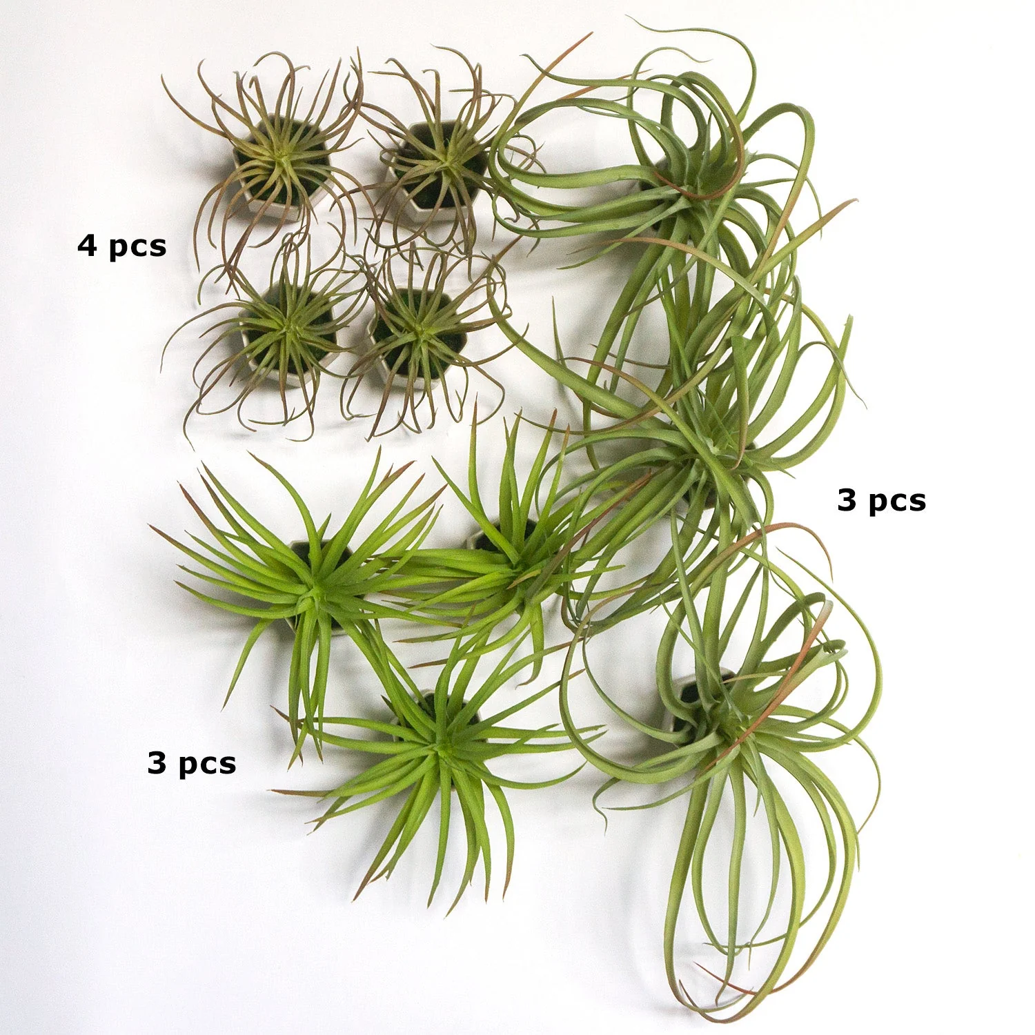 Green Wall Satellite, Wall Play™ Beehive Off-White w/ Air Plants, Set of 10 By Gold Leaf - Image 5