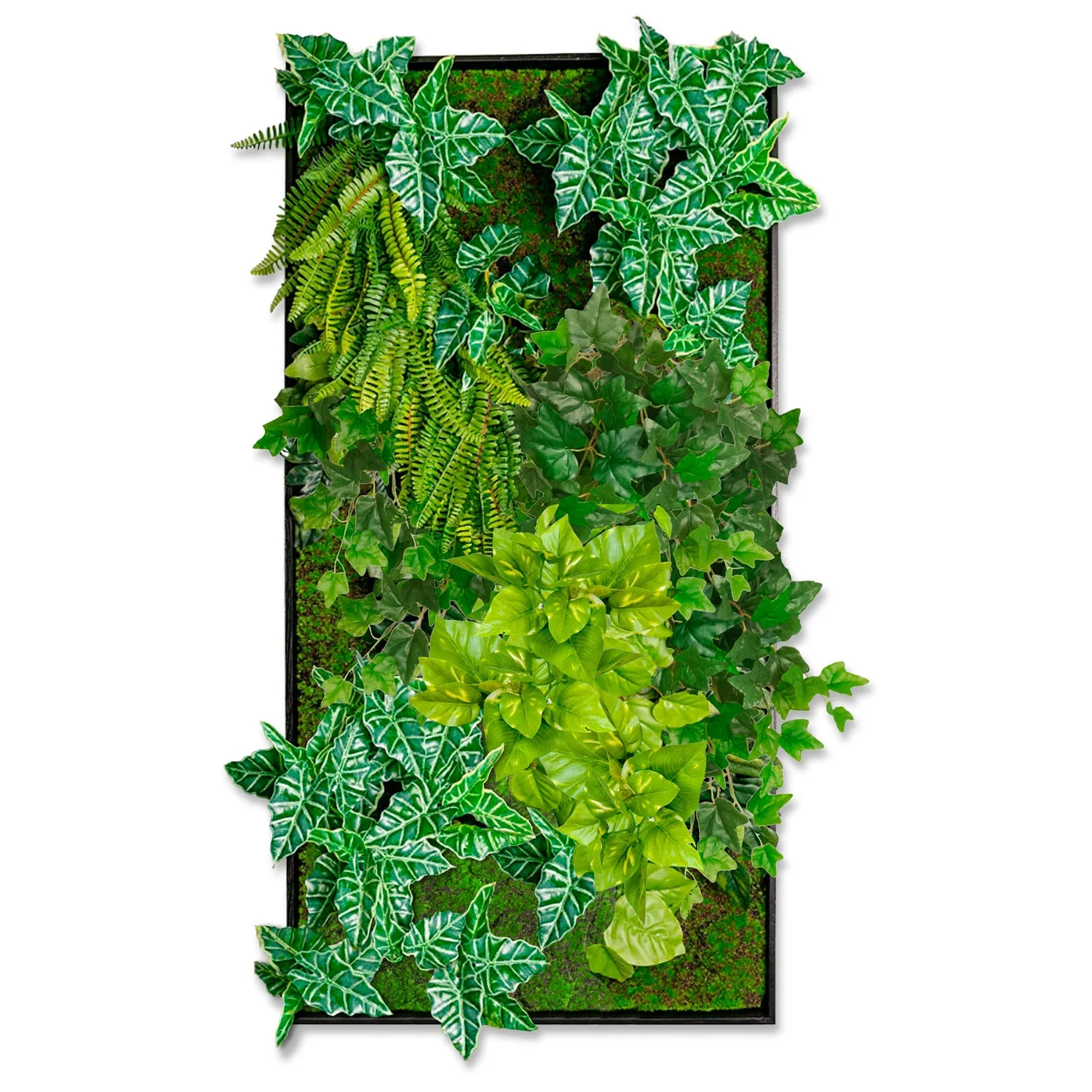 Green Wall, Trailing Mix #2 By Gold Leaf
