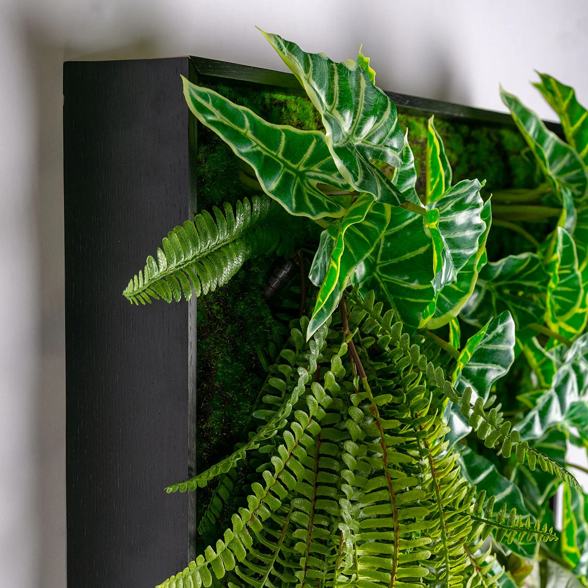 Green Wall, Trailing Mix #2 By Gold Leaf - Image 3