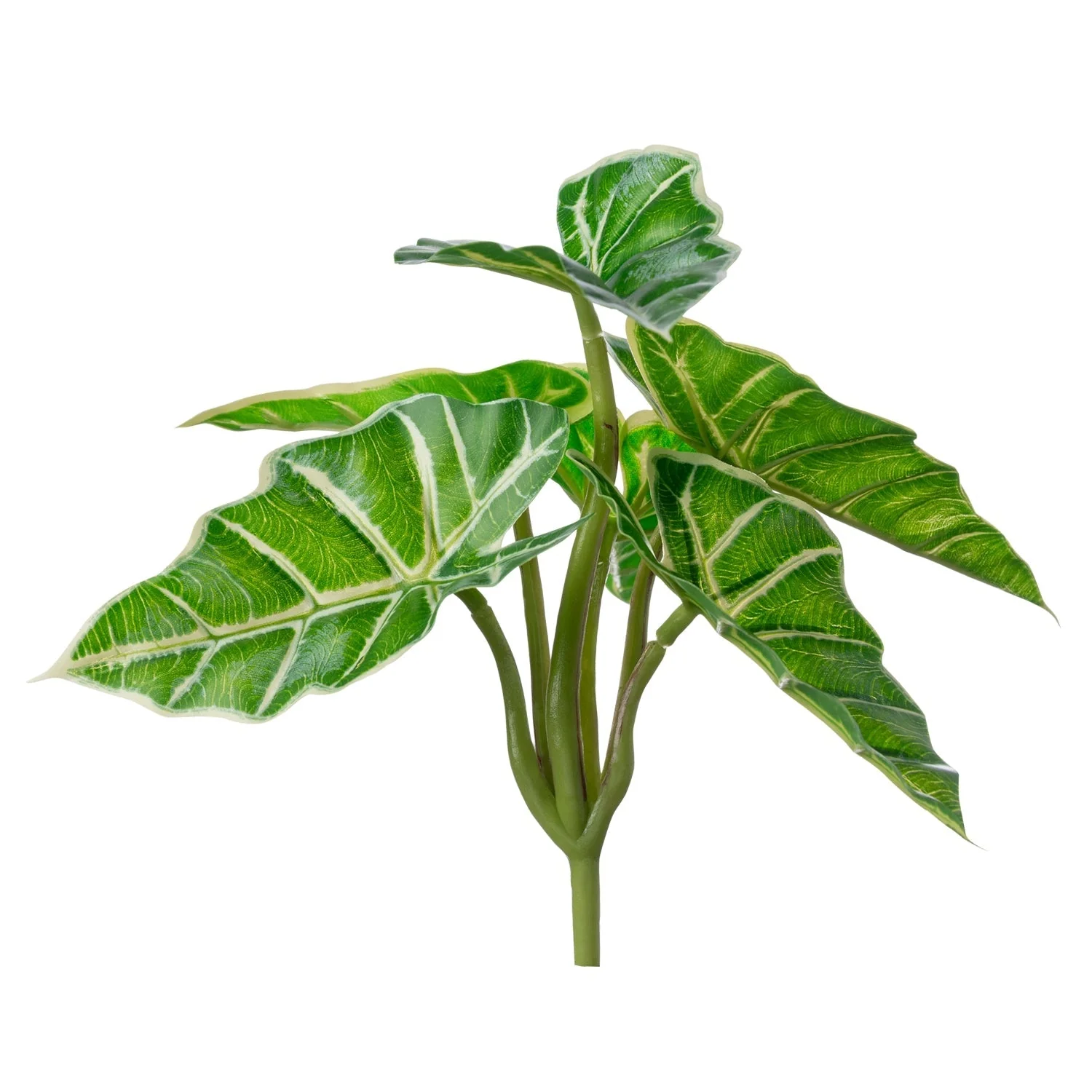 Green Wall, Trailing Mix #2 By Gold Leaf - Image 8
