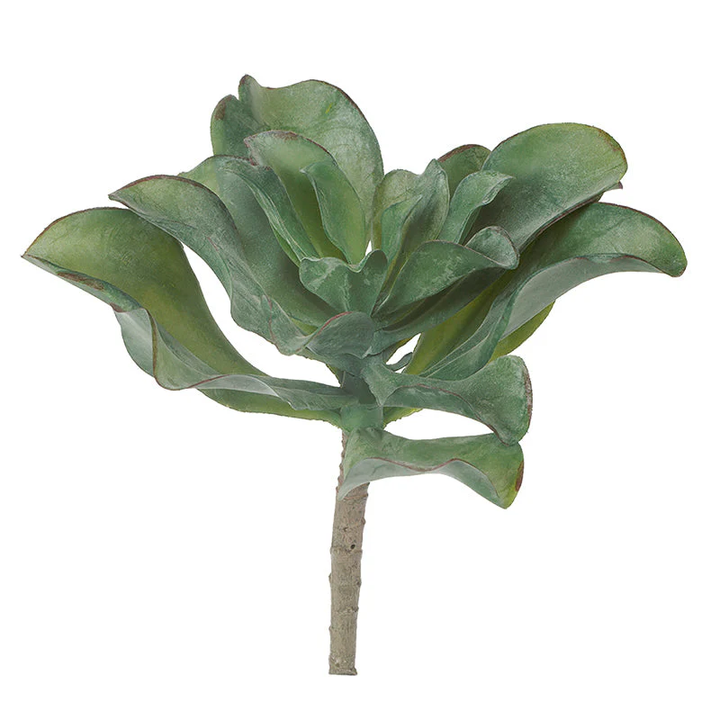 Green Wall, 'Wave Succulent 2' By Gold Leaf - Image 6